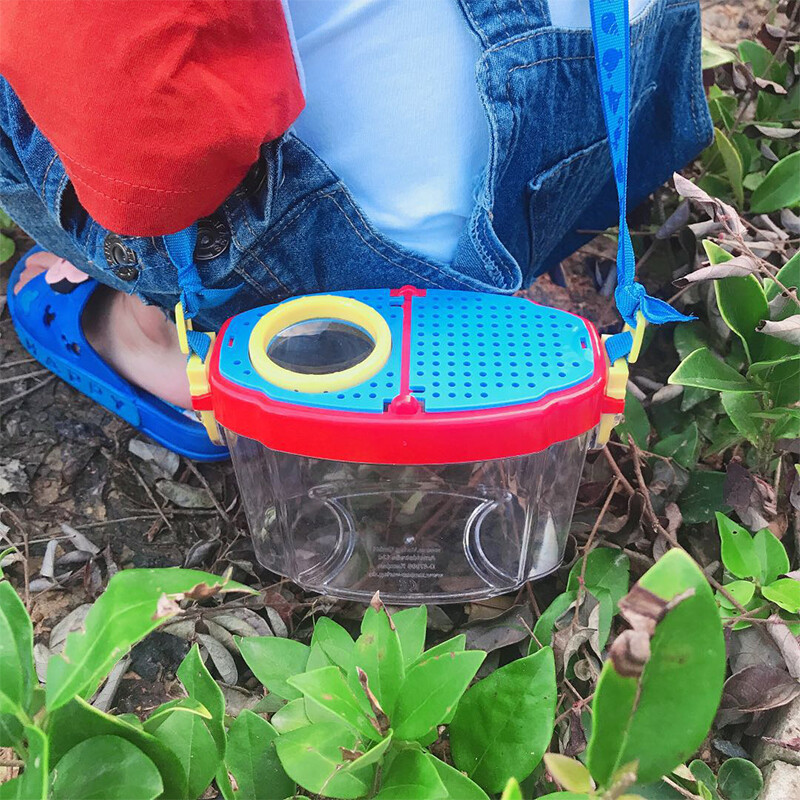 Insect Observation Viewer Transparent Bug Collection Case Children Exploration