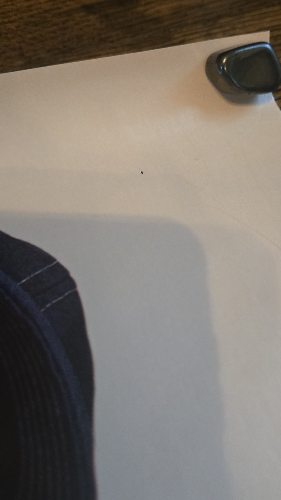 Billy Madison (1995) Original US Theatrical Movie Poster - D/S - 27x40"