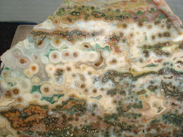 ocean jasper slab