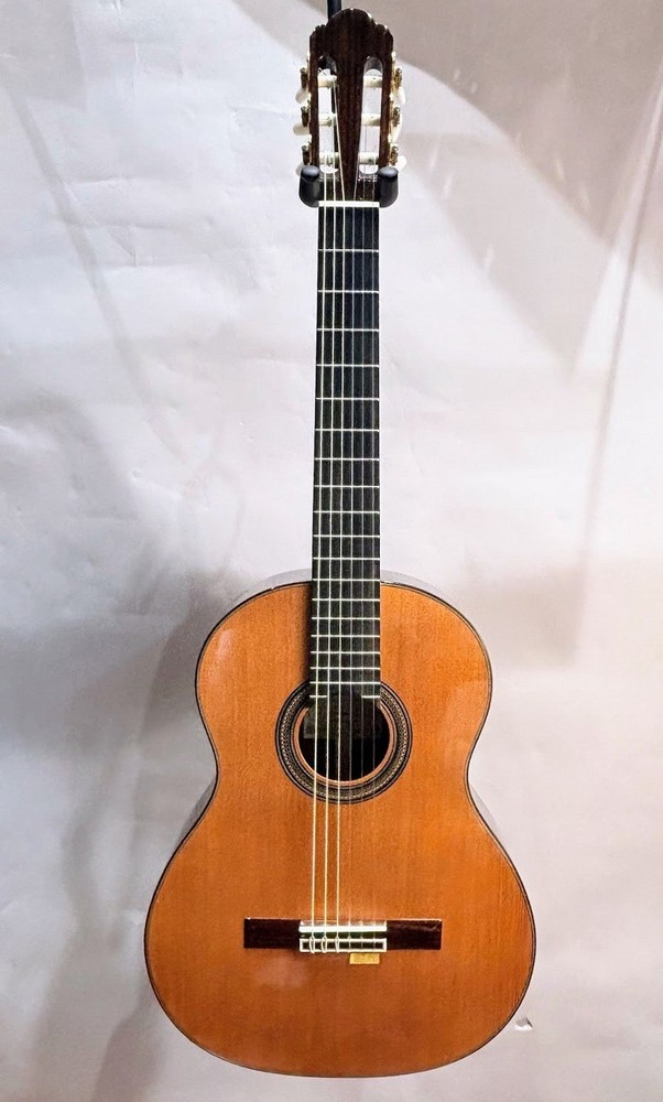 ARIA A-50C (no250807)