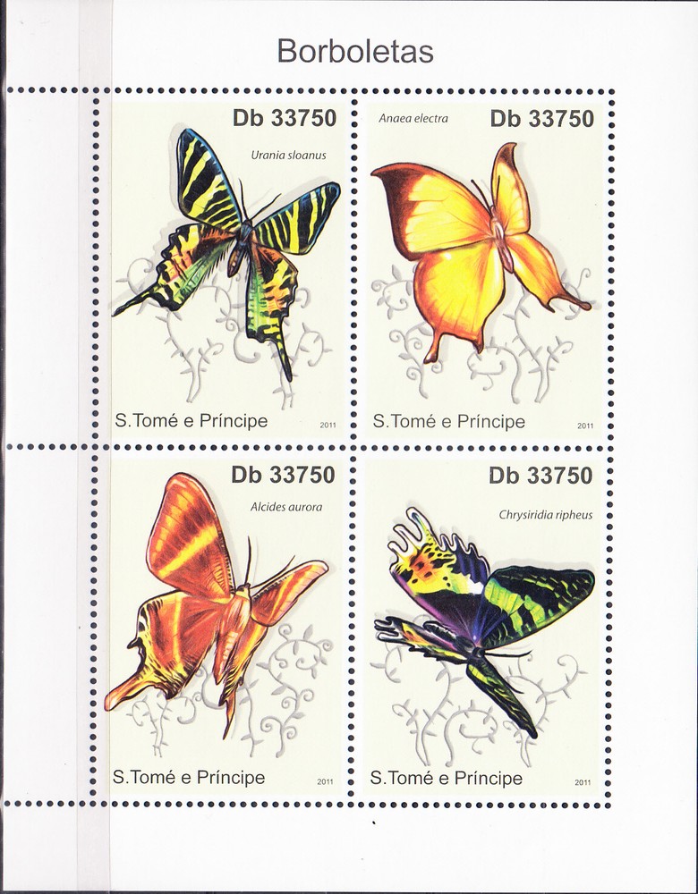 W SAINT-THOMAS 2393 BUTTERFLIES