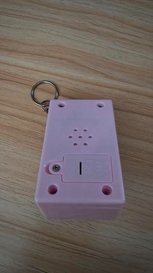 Tiny WORK mini keychain - Pink