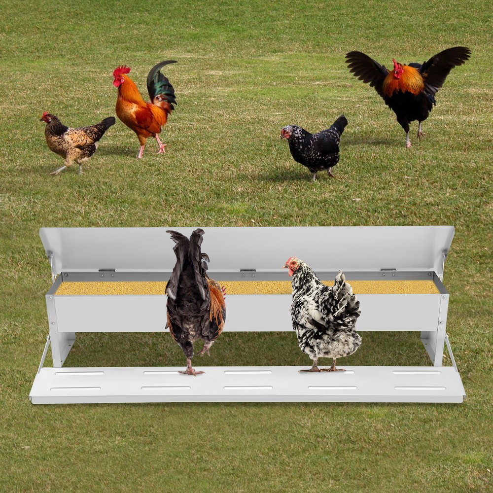Automatic Chicken Feeder Galvanized Sheet Poultry Feed Protector 22lbs Capacity