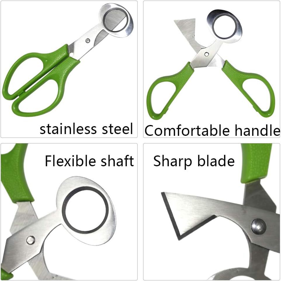 2Pcs Quail Egg Roast egg scissors Cutter Scissors Kitchen Egg Shears Tool(Green)
