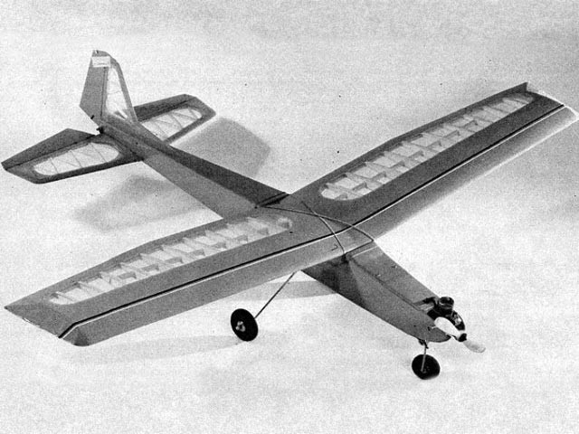 Evolution 51" or 74" Wingspan RC Model Airplane Printed Plans Templates