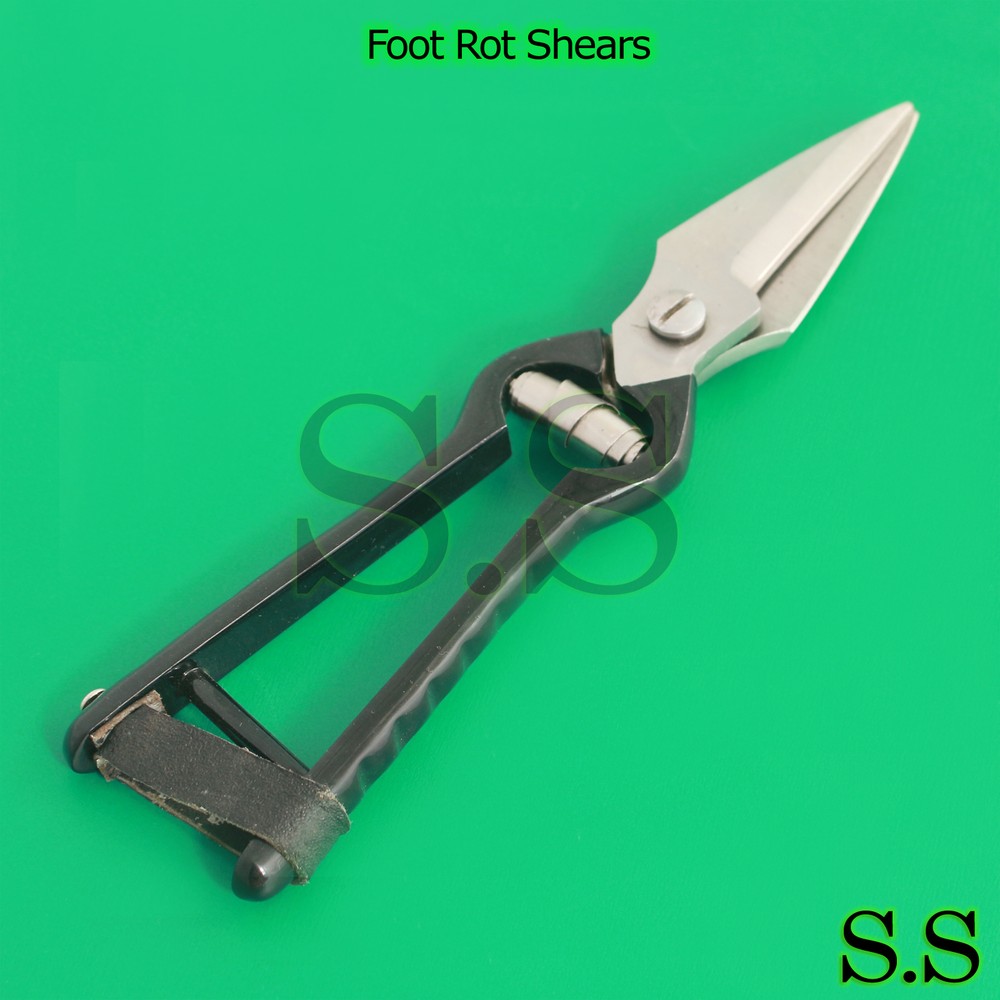 Foot Rot Shears (Black Painted) Veterinary Instruments