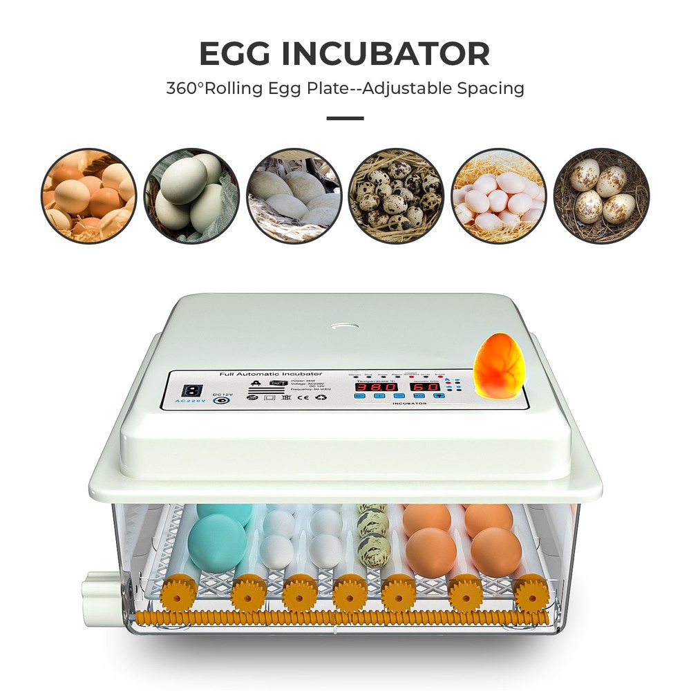 Egg Incubator 36 Eggs with Temperature Humidity Control Automatic Turning UK