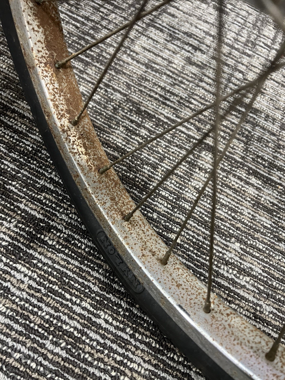 1965 Schwinn Stingray Fair Lady Bicycle Bike