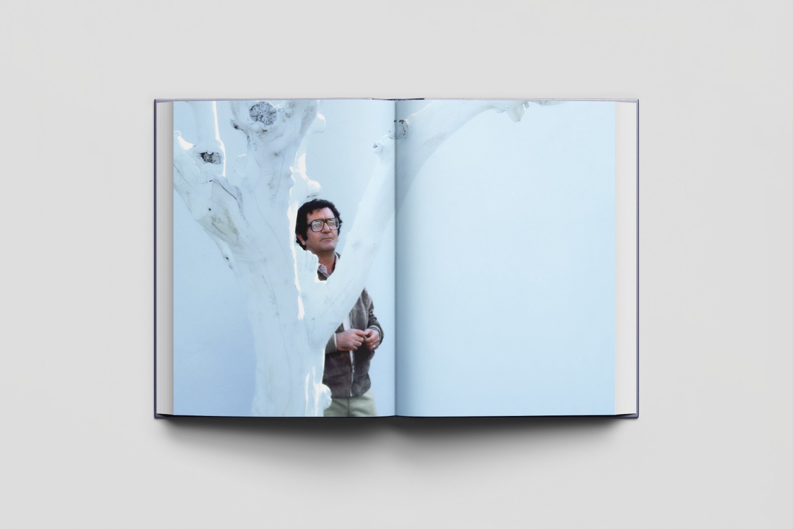 Enrique Arnal: A Life in Art - Bilingual Softcover Book (English & Spanish)