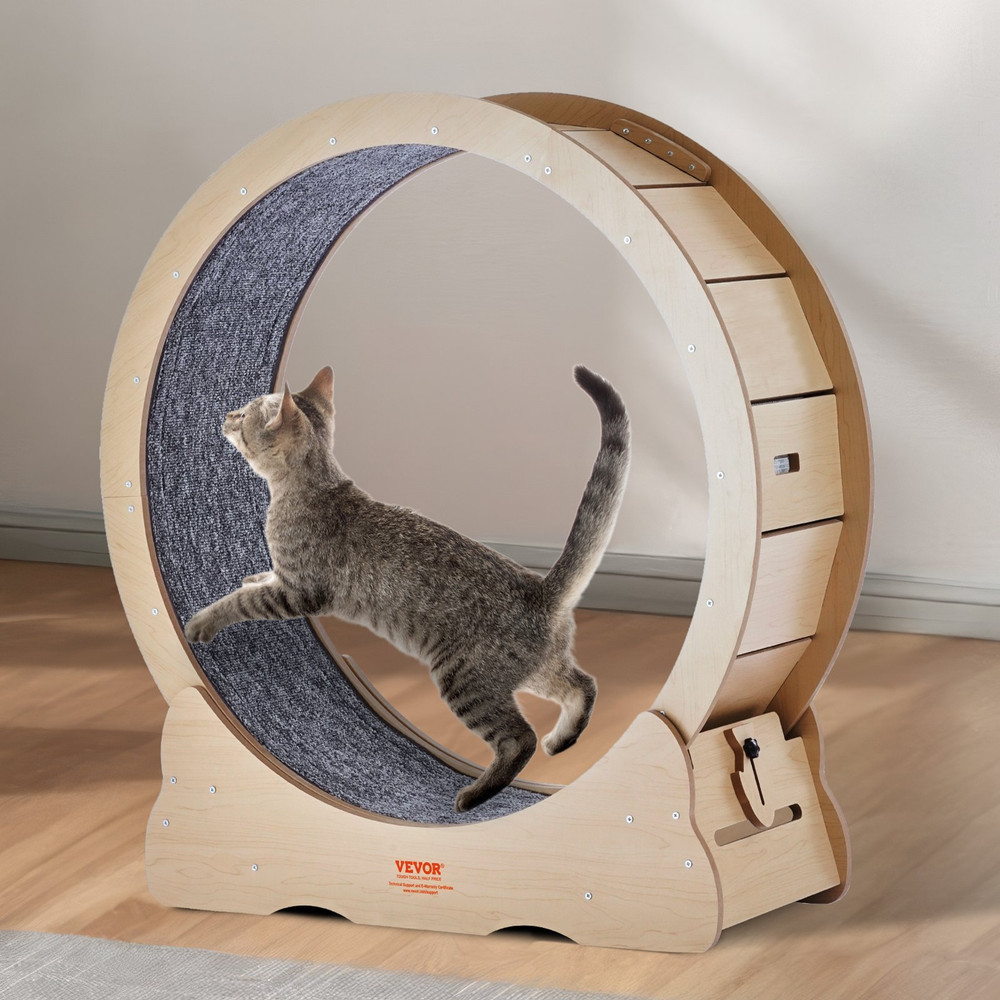 Cat Exercise Wheel, Suitable for Most Cats
