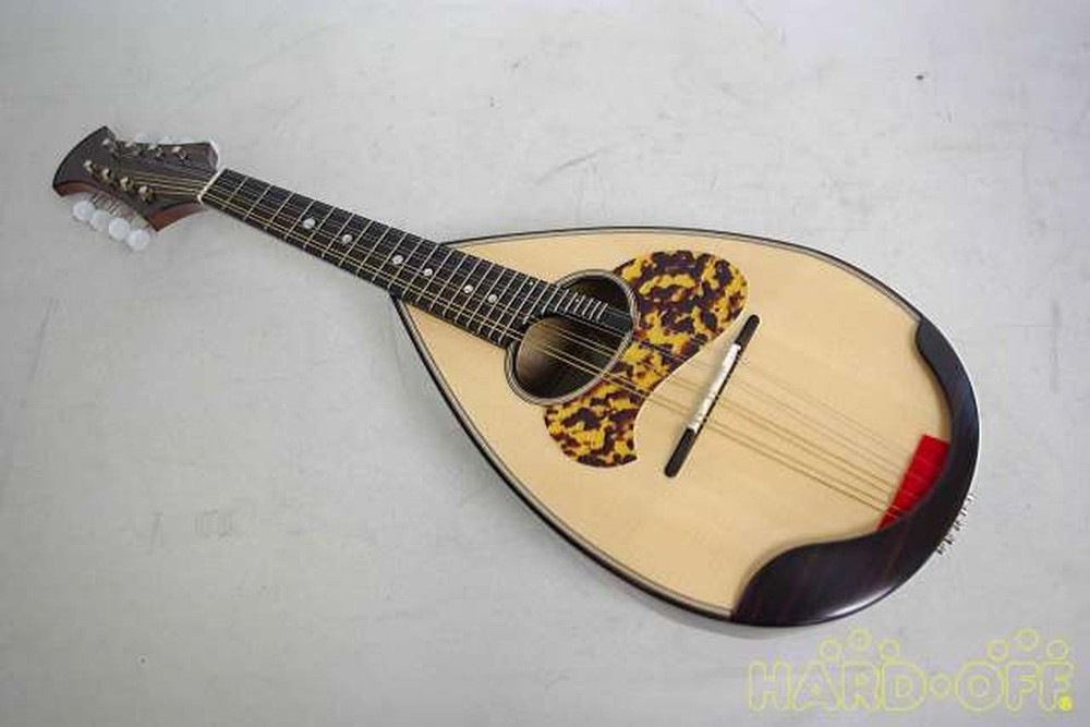 Miyano M-1 Mandolin-01