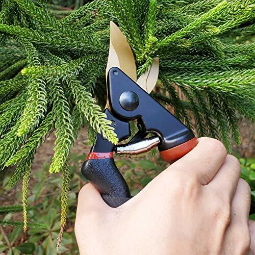 Professional Titanium Coated Pruning Shears Garden Secateurs Scissors 8.5 inch
