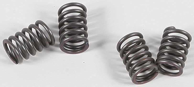 EBC CSK Clutch Spring Set (CSK48)