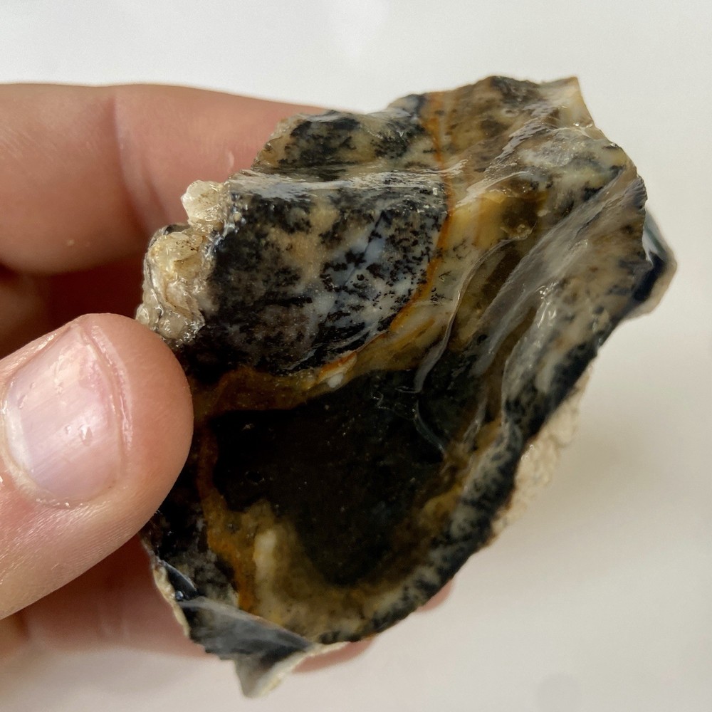 Natural Dendritic Opal Stunning Rough Stone 7.67 Oz!