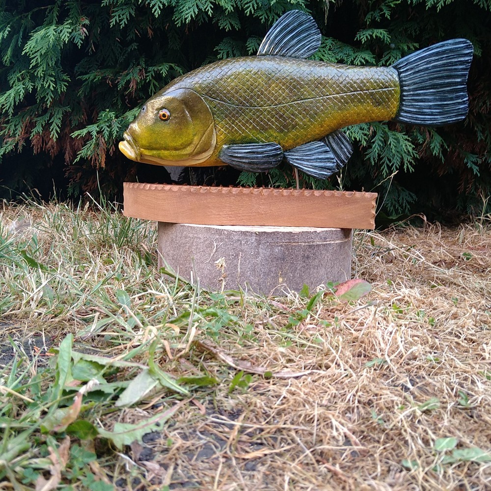 Tench Fishing , fish