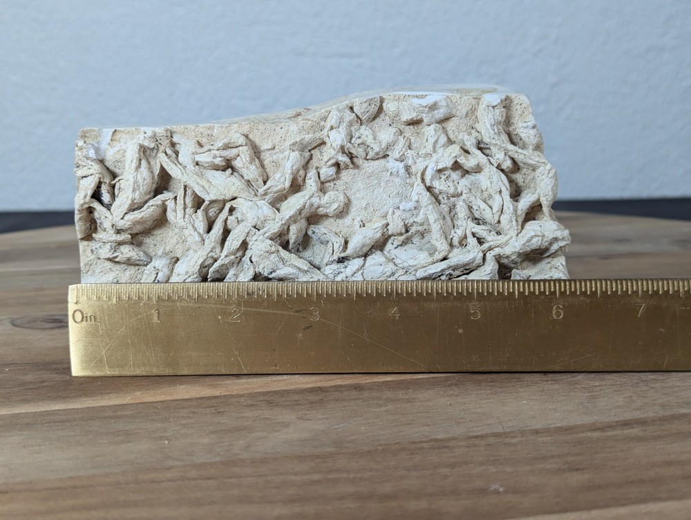 Colony Trace Fossil