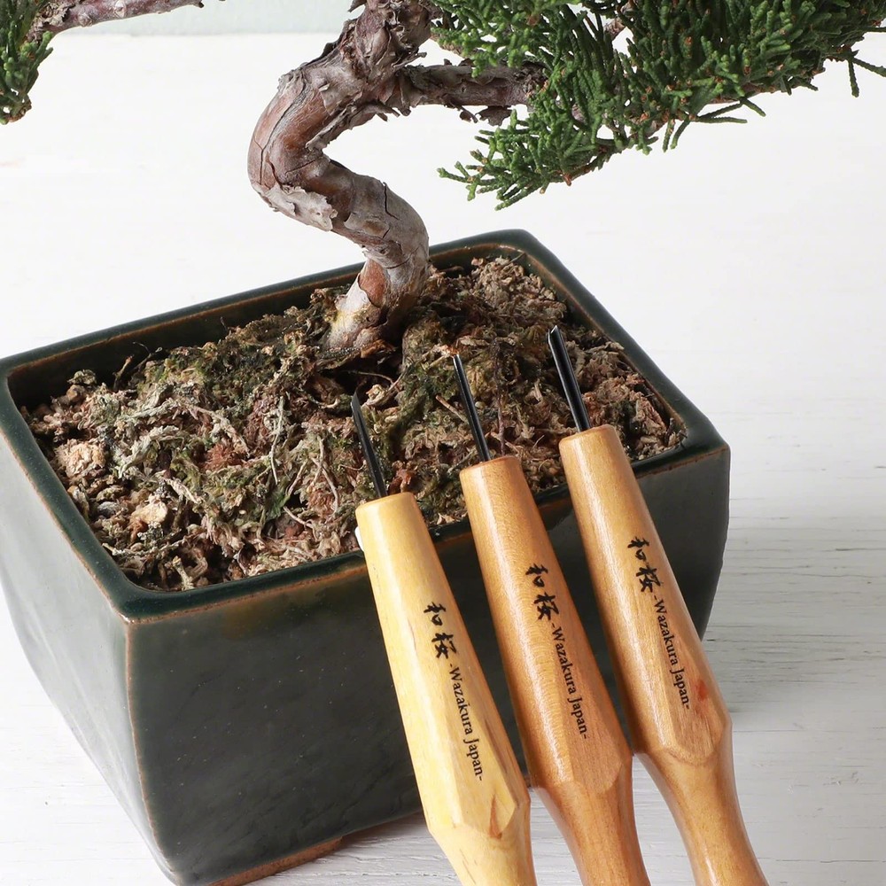 Wazakura 3PCS Bonsai Chisel Kit with Round Kit, Mini Size