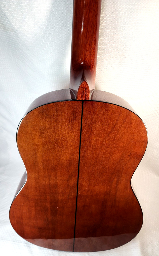 Hand Crafted S101 C2390 Guitar with Case & String - Used