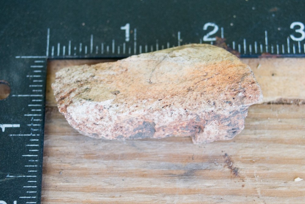 NE Oklahoma Fossil