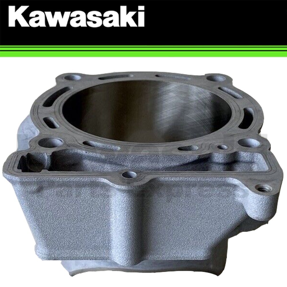 NEW 2019-2020 GENUINE KAWASAKI ENGINE CYLINDER KX450 KX 450 11005-0704