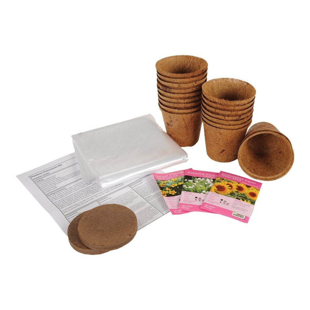 Silver Circle Growing Flowers Classroom Kit