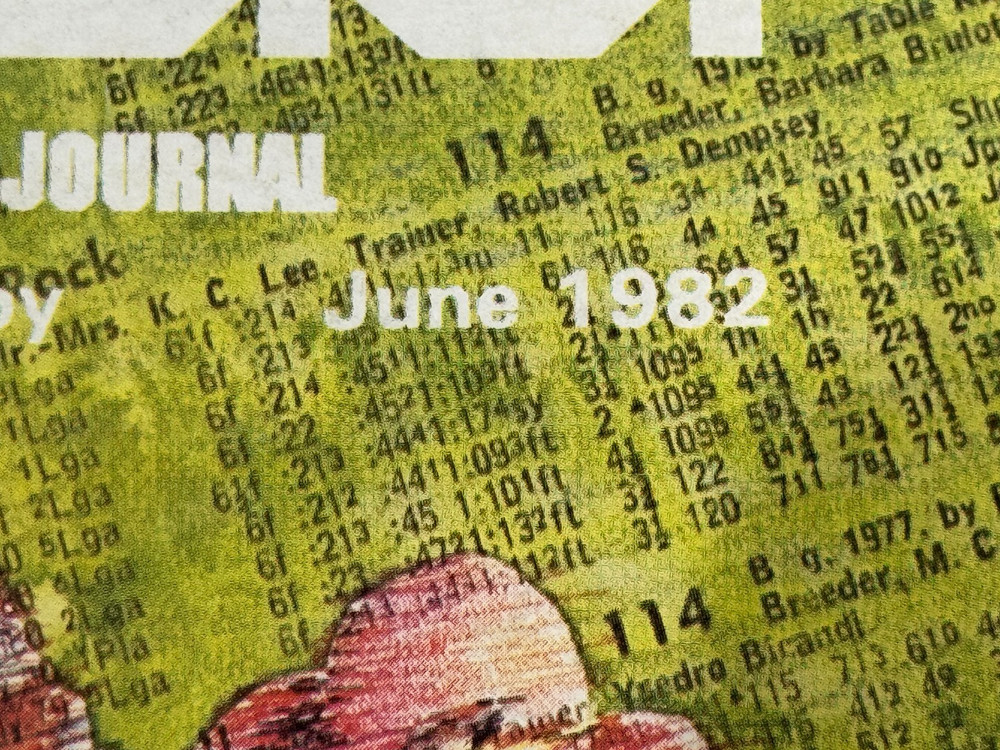 80 US the TRS-80 Users Journal June 1982