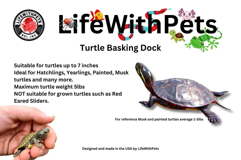 LifeWithPets Turtle Basking Dock Turtle Platform Free Shipping