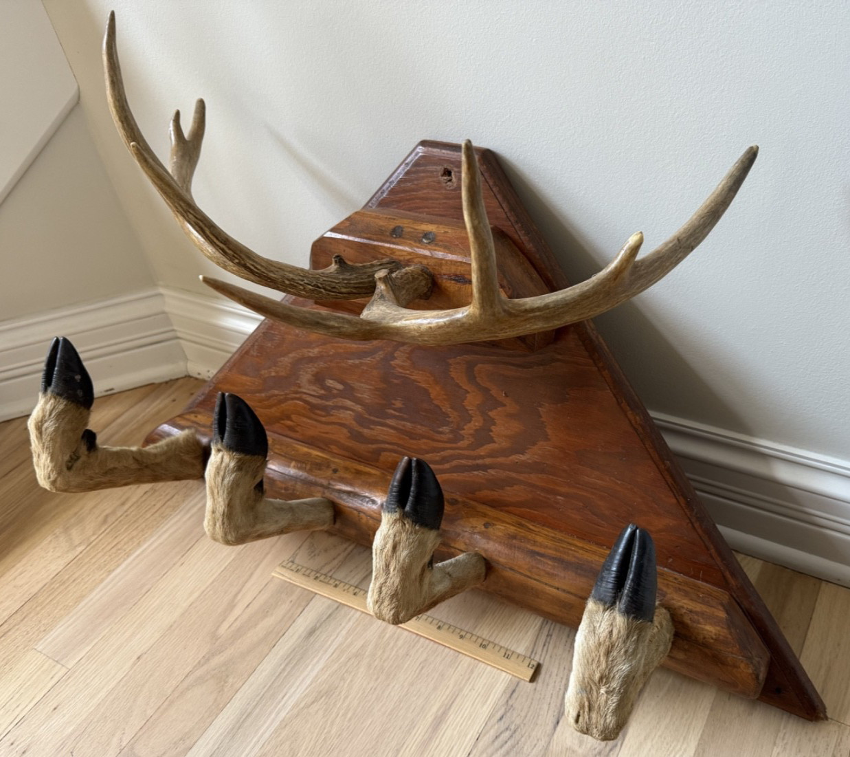 Vintage Taxidermy Deer Antler Hoof Coat Rack Hat Rack Man Cave Bar
