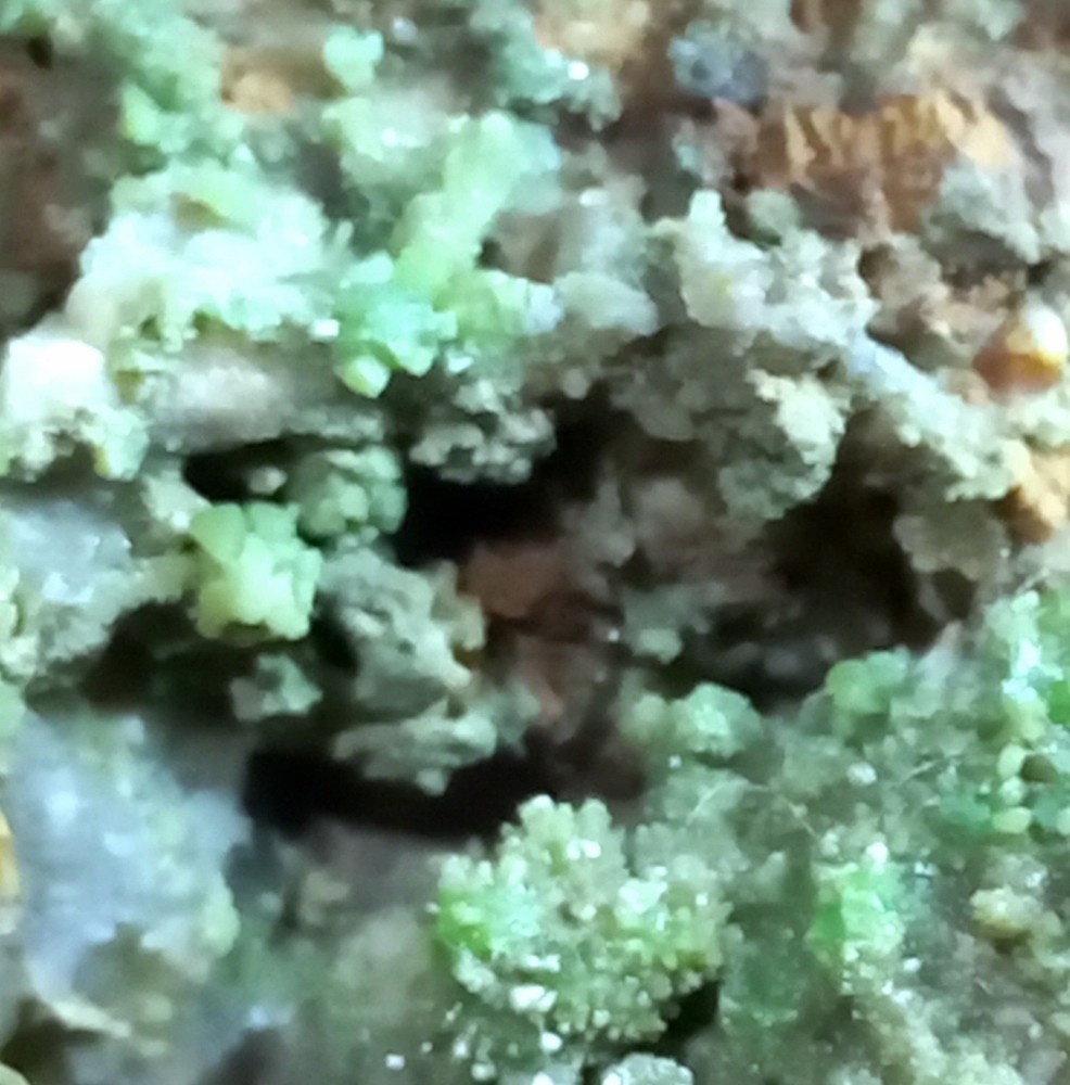 Pyromorphite Sardinia