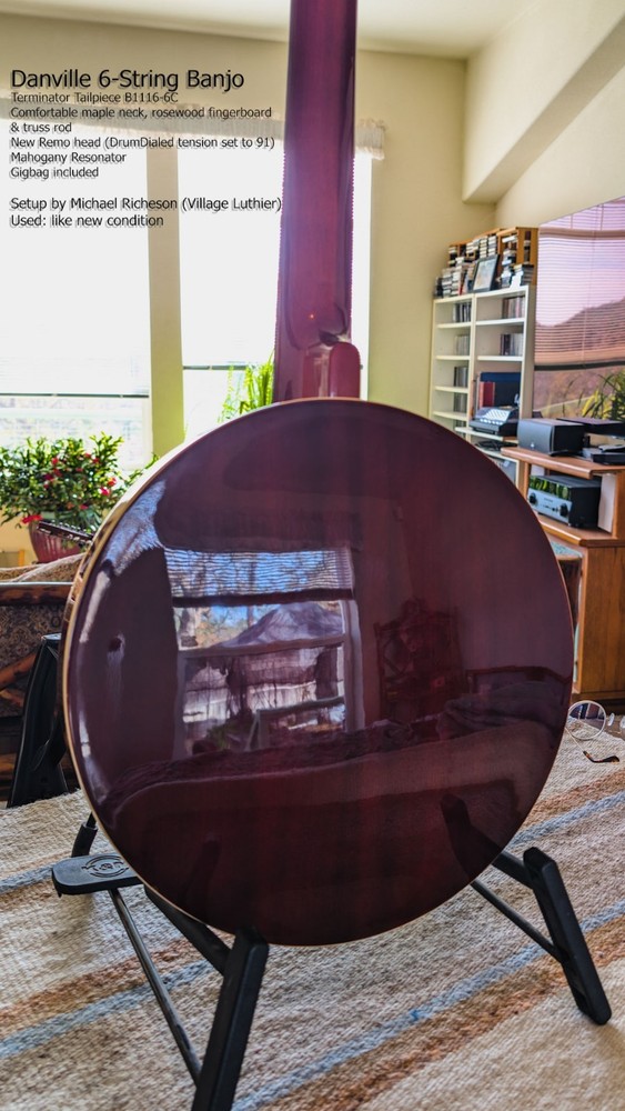 Danville 6-String Banjo