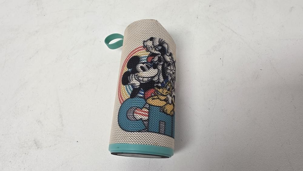 DISNEY DS20216F (P08031418)