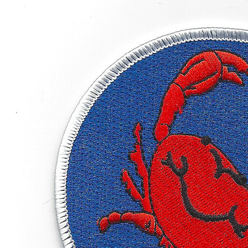 VF-901 Naval Reserve Squadron Patch