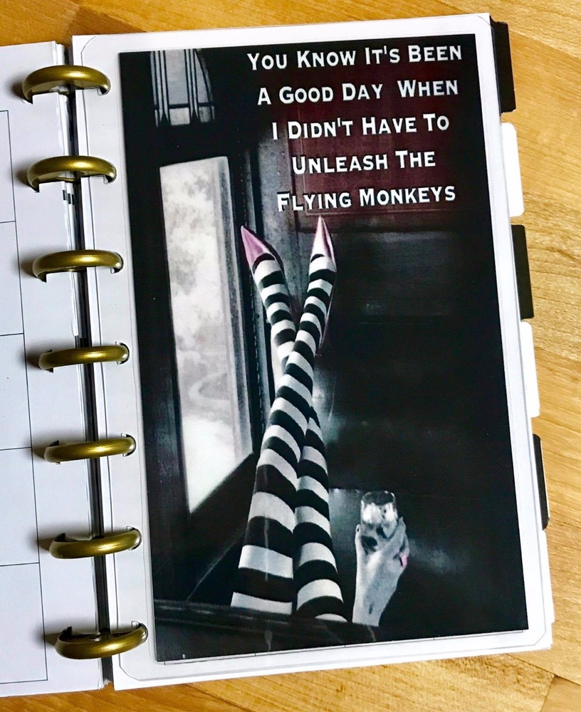 Flying Monkeys DASHBOARD Insert for use with the MINI Happy Planner~