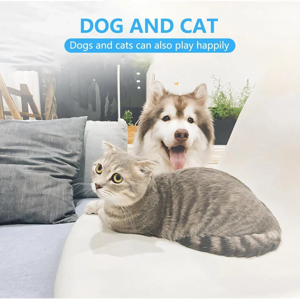 Cat Dog Specific Nail Clipper, Avoiding Excessive Cutting, Suitable for Beginner