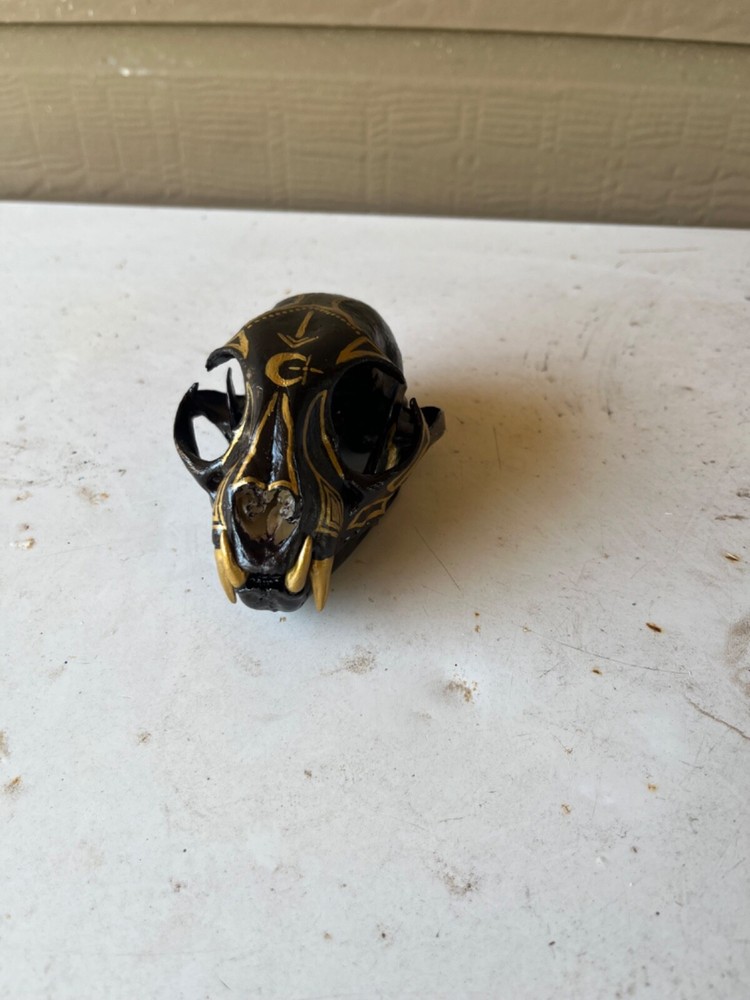 Painted Bobcat Skull please read description