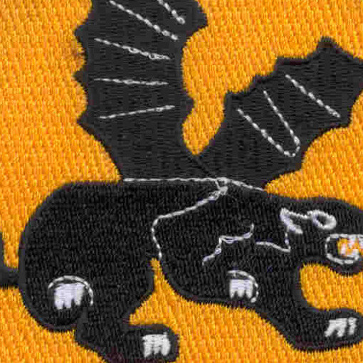 541st Airborne Infantry Regiment Patch