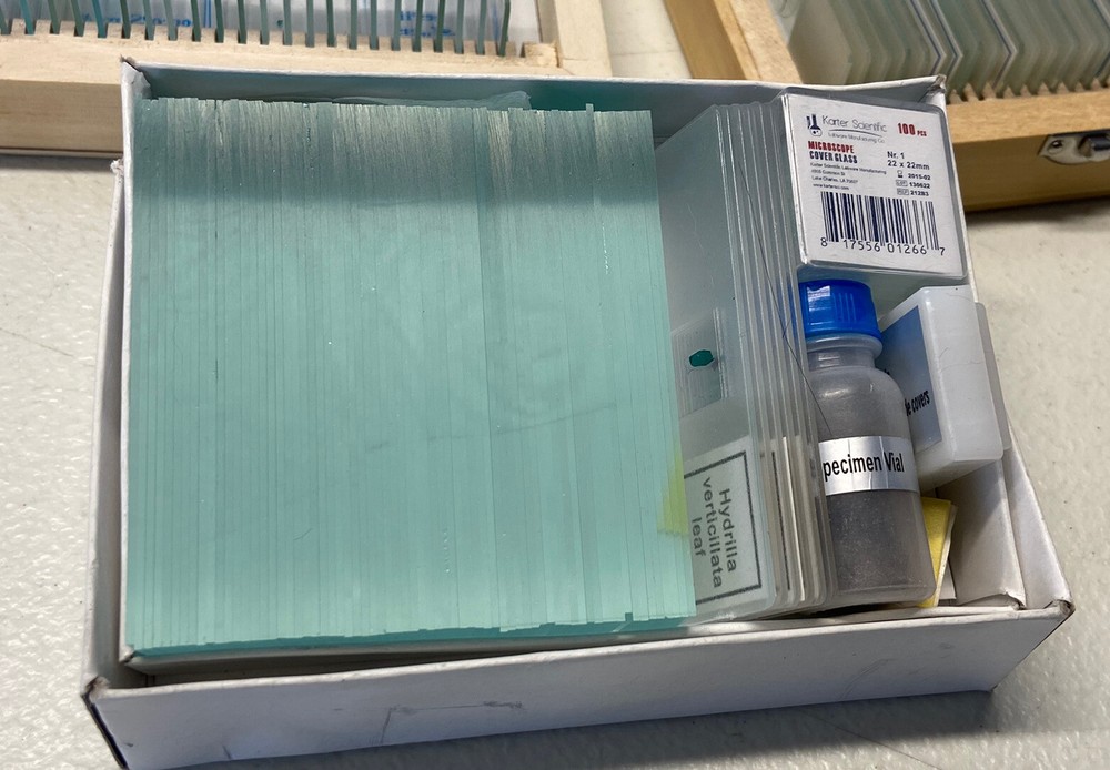 Amscope 49 PreparedMicroscope Slides In 2 Boxes