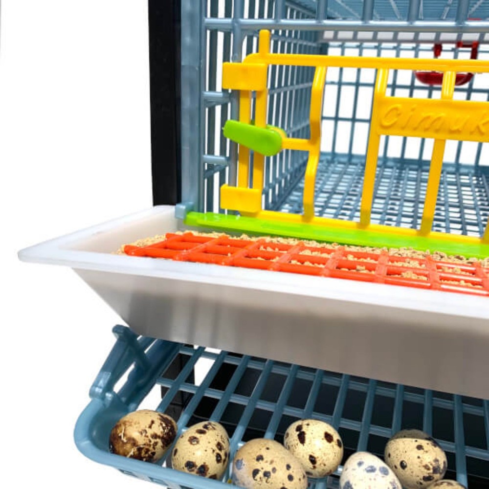 Quail Cage - Layer Addition
