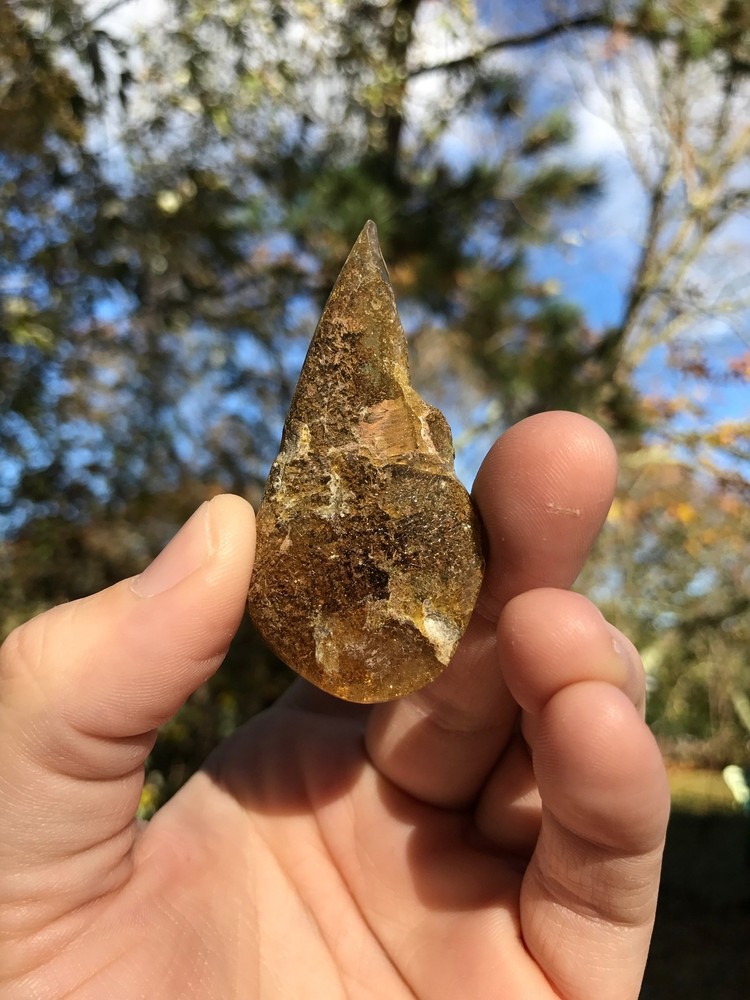 Baltic Amber