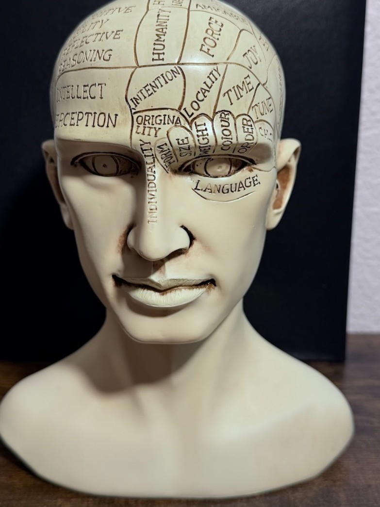L.N. Fowler Phrenology Head Bust Ceramic Statue Medical History Decor Psychology
