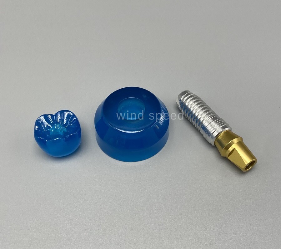 Dental Implant Model Demonstration Teeth Study Teaching Models Detachable M2020