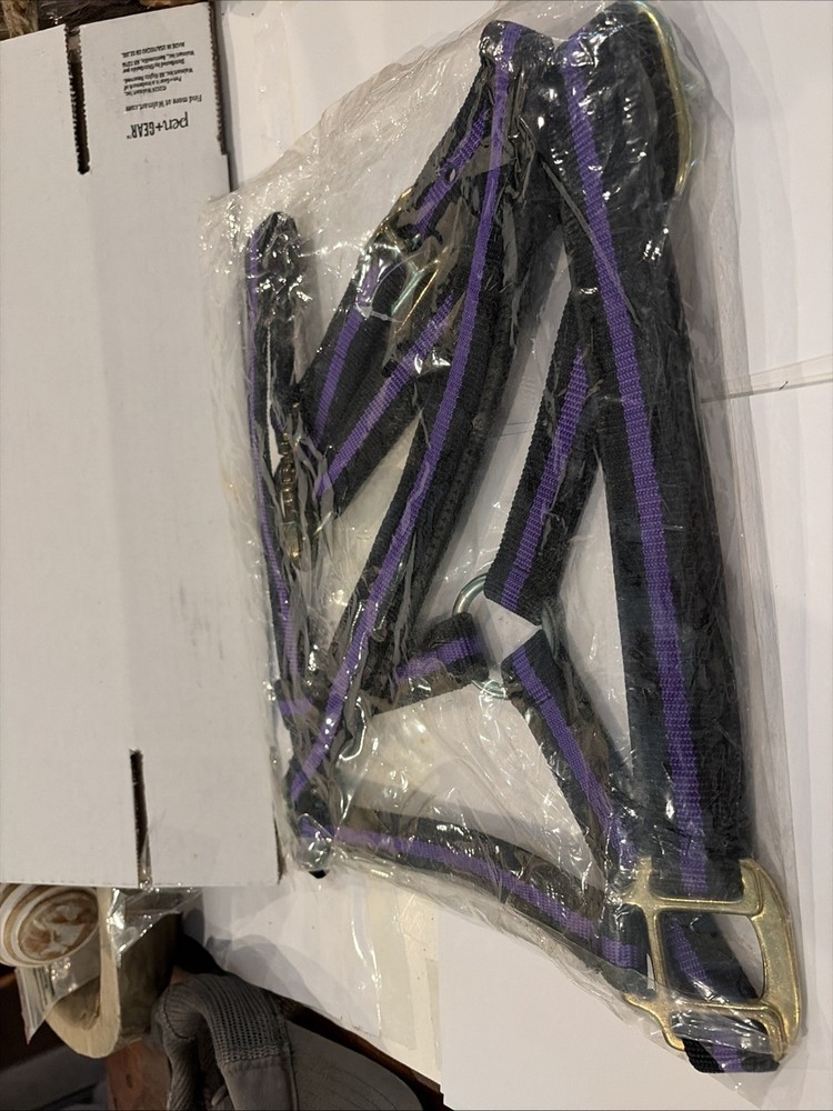 Purple Black Horse Halter