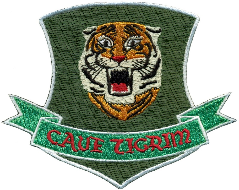 USAF 460th TES & EVALUATION SQUADRON HERITAGE PATCH