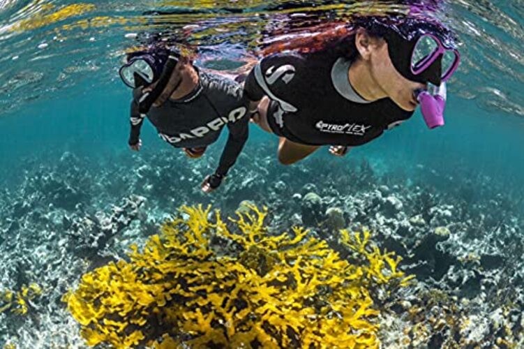 Spectra Snorkel Pink