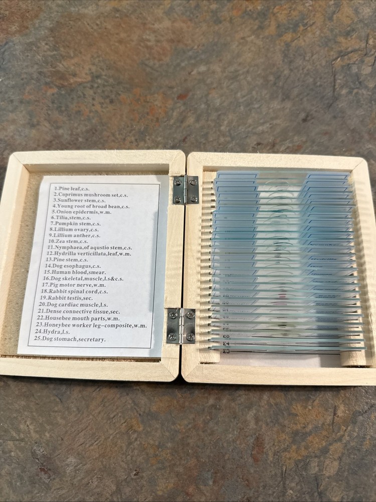 AmScope 25 Prepared Microscope Slide Set for Basic Biological Science
