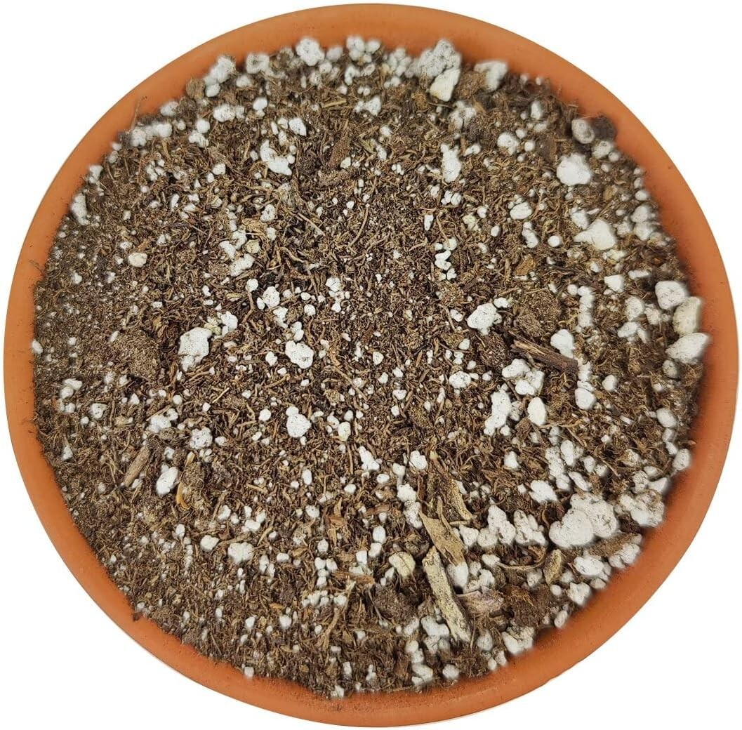 Succulent & Cactus Plant Potting Soil Mix Peat Moss & Perlite, 1 quart - 4 gal