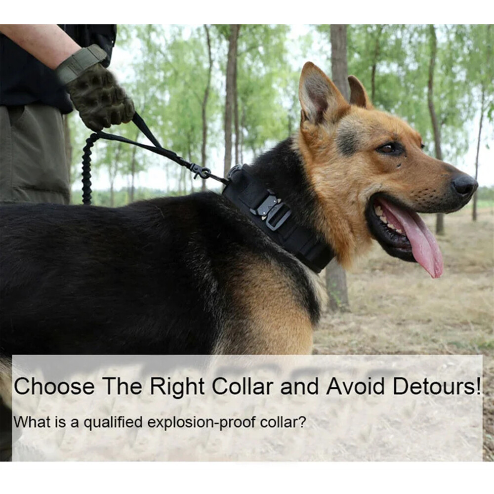 Tactical Dog Collar w/ Handle +Leash Heavy Duty Military Service Canine Training