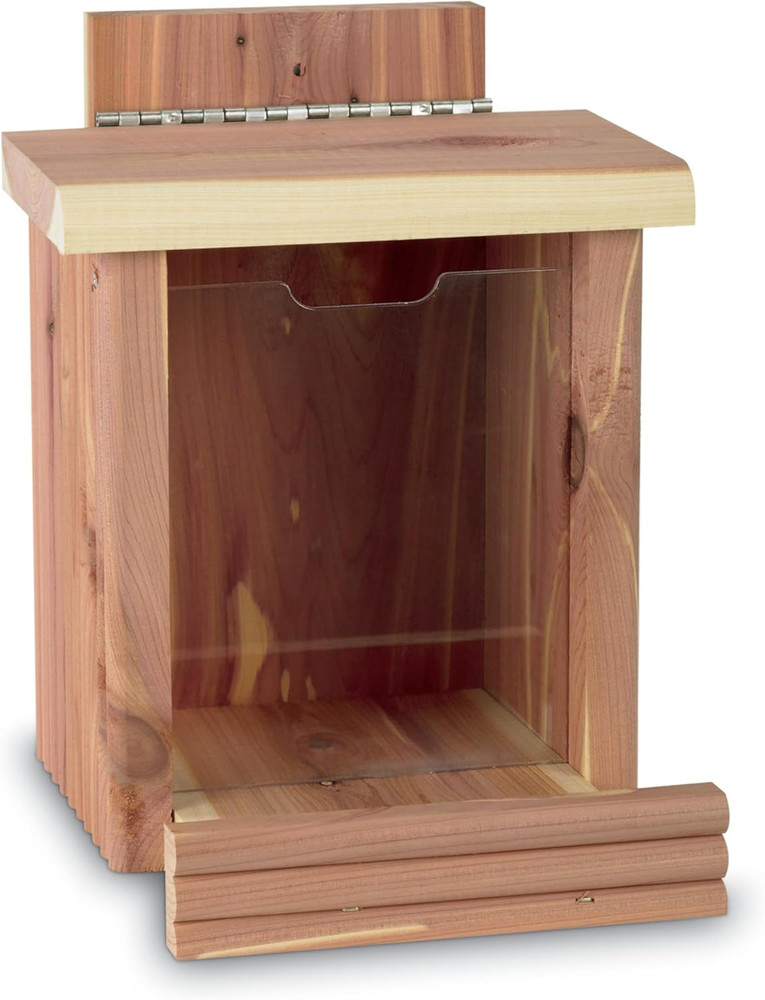 Cedar Squirrel Snacker Feeder, 2.75 LB Capacity