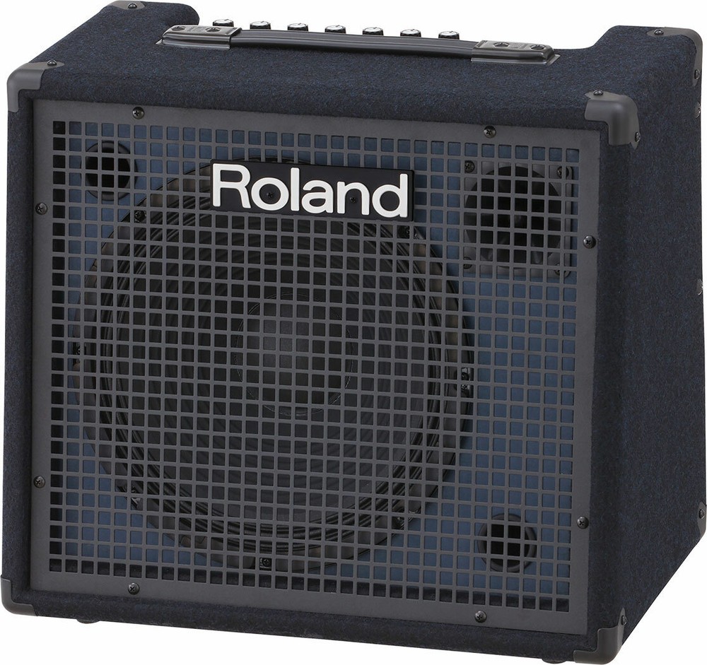 Roland KC-200 Mixing Keyboard Amplifier CABLE KIT