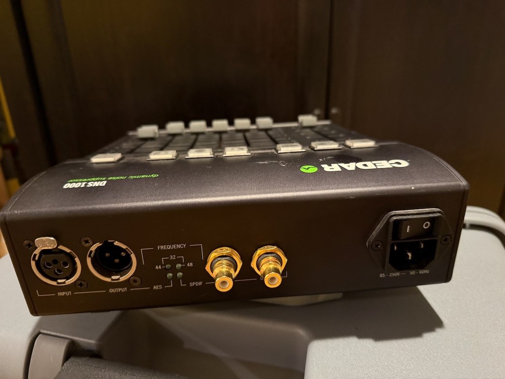 CEDAR DNS 1000 Dynamic Noise Suppressor Audio Processor | Tested